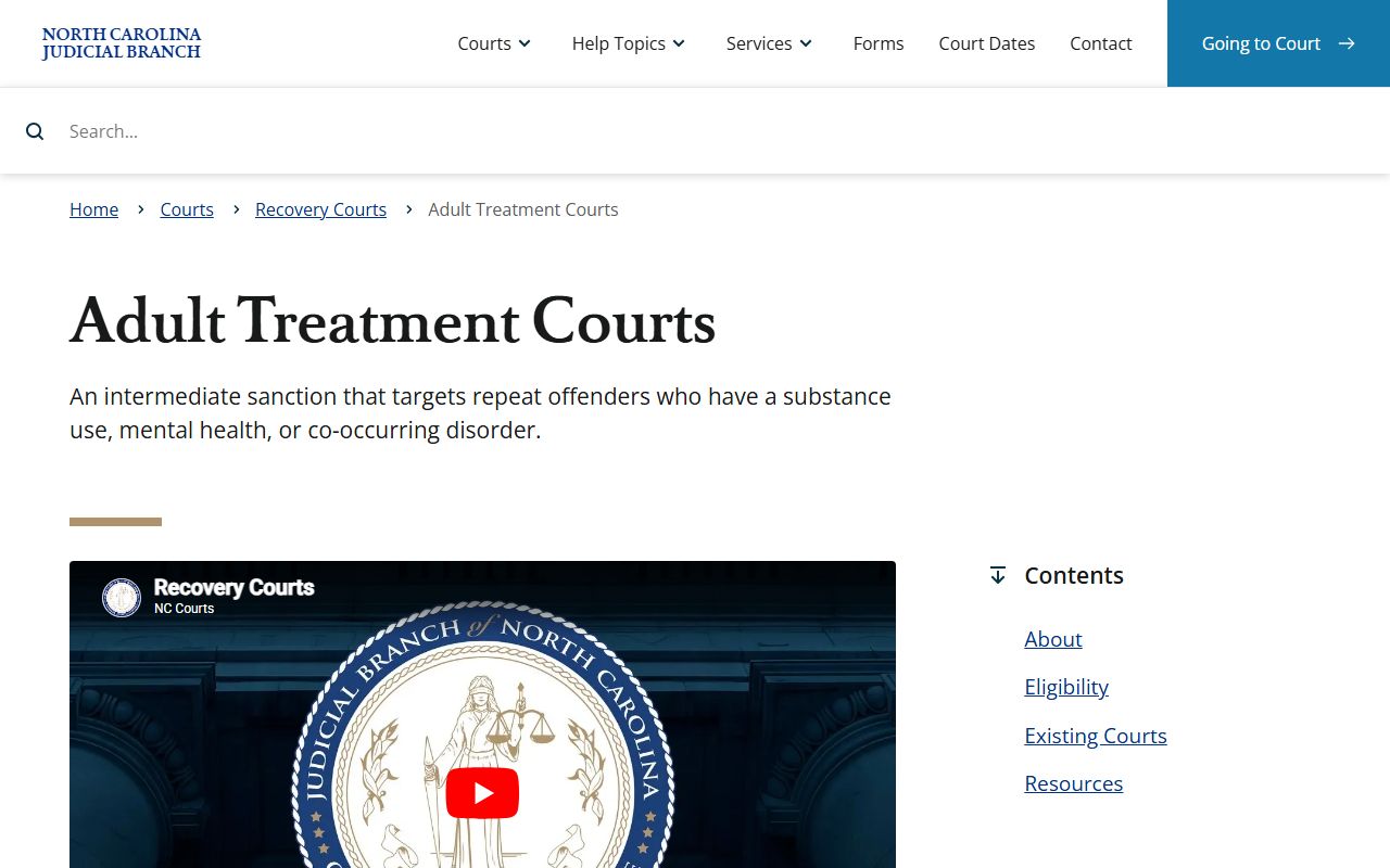 Alamance County traffic court records Adult Treatment Court source